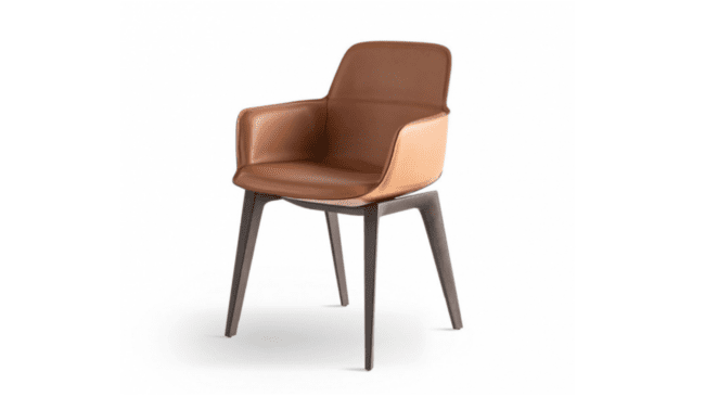 AVAX_MOLTENI&C_Barbican chair 1